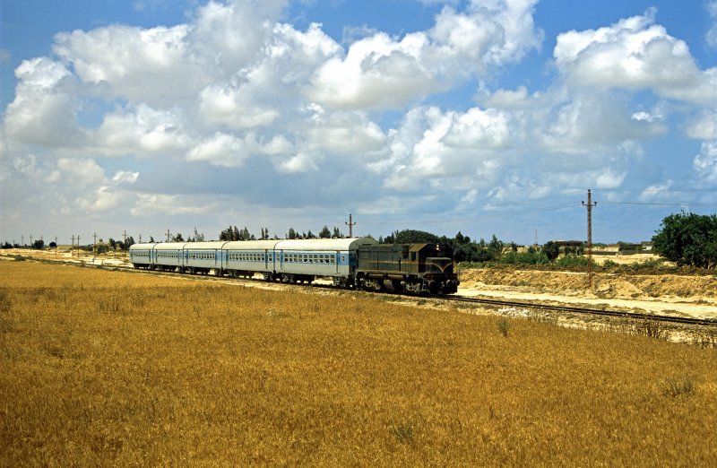 ENR G22W 3604 mit Zug 649 (Mersa Matruh - Alexandria) kurz vor Bahiq am 29.4.08