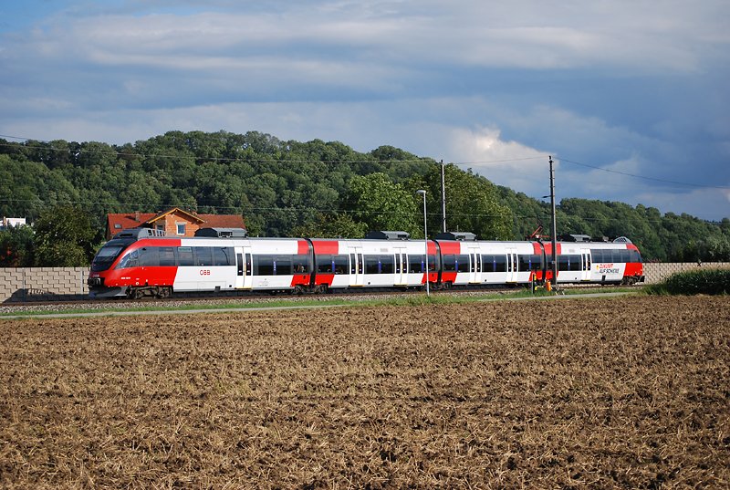 Entenbild Nr. 2 *gg* (Ansfelden-Nettingsdorf, 9.8.2008)