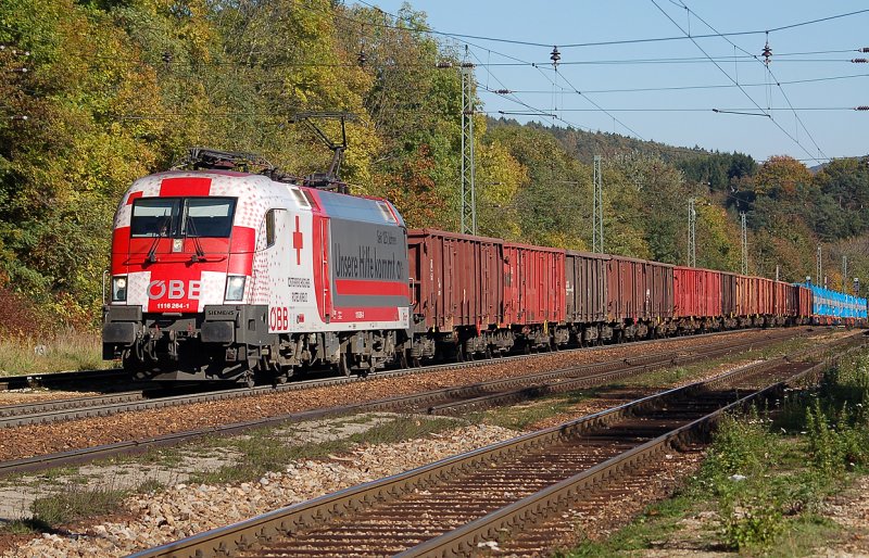 Erinnerungen an BB Werbetaurus Rotes Kreuz (... unsere Hilfe kommt an)1116 264 mit Gterzug kurz vor Tullnerbach - Pressbaum, damals am 14.10.2007 im herbstlichem Wienerwald.