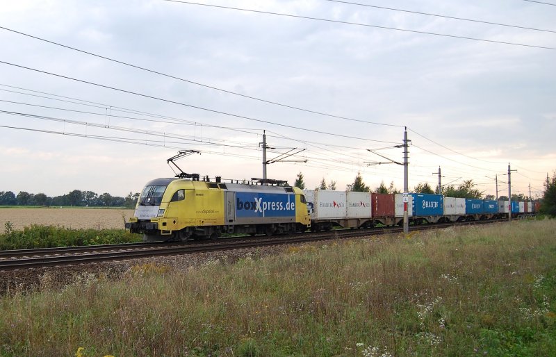 ES 64 U2-071 war am 10.09.2009 mit einem
Containerzug auf der Westbahn zwischen
Marchtrenk und Oftering zu sehen.