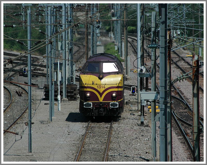 Etwas s�dlich von Bettembourg befindet sich ein gro�er Verschubbahnhof. 1814 bei Rangierarbeiten ebendort, aufgenommen am 26.7.2006.