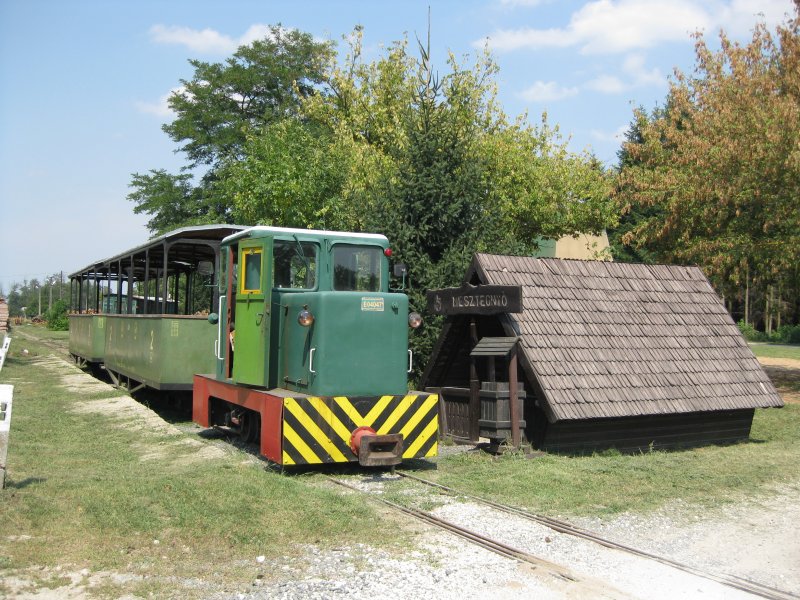 EV, Lok Nr. C 50 E 04047 im Schmalspurbahnhof Mesztegny mit Zug nach Felskak, am 22.8.08. Personenverkehr findet auf dieser Bahn nur dienstags und freitags statt, die Bahn dient aber auch noch immer dem Holztransport.