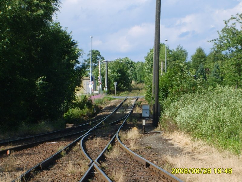 ex KBS 556: Ausfahrt in R. Triptis, des noch im Gterverkehr rege gentzten Bhf Ebersdorf-Friesau. Die Idylle tuscht. Nach 500 m ist die Strecke zugewachsen und nicht mehr befahrbar.