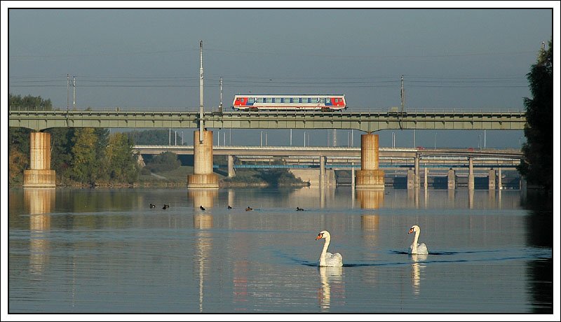 Extra f�r Stefan, ein Bild mit zwei Schw�nen als Hautpmotiv. W�ren sie nicht gewesen, h�tte ich wegen einem 5047er gar nicht abgedr�ckt. Als Nebenmotiv: R 2561 von Marchegg nach Wien S�d bei der Querung der Neuen Donau in der Wiener Lobau am 30.9.2007
