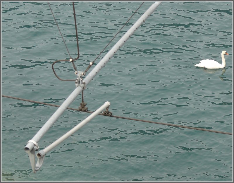 Fahrleitungsaufhngung ber dem Walensee, wobei der Fotograf scharf beobachtet wird. (10.03.2008)