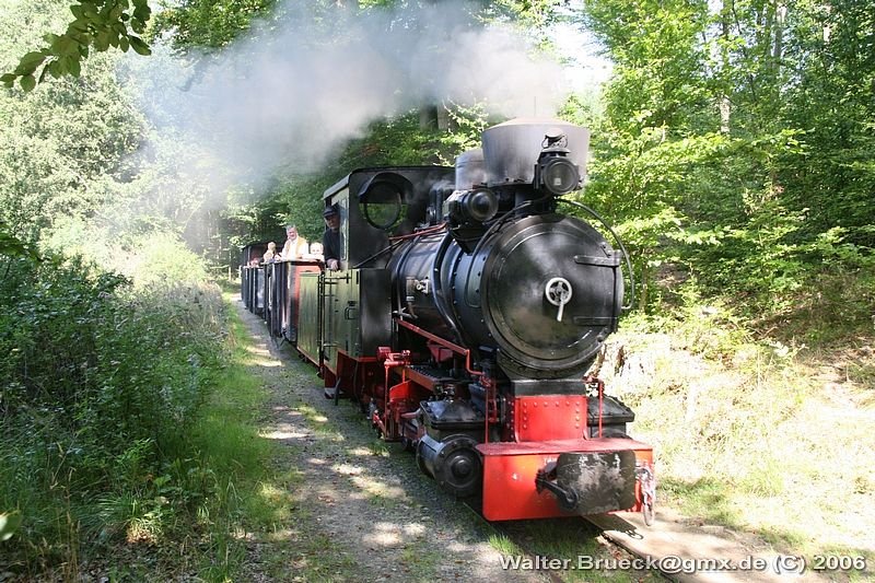 Fahrtag beim Feld- und Grubenbahnmuseum Fortuna am 10.09.2006: Lok 4 im mittleren Bereich der Waldstrecke.