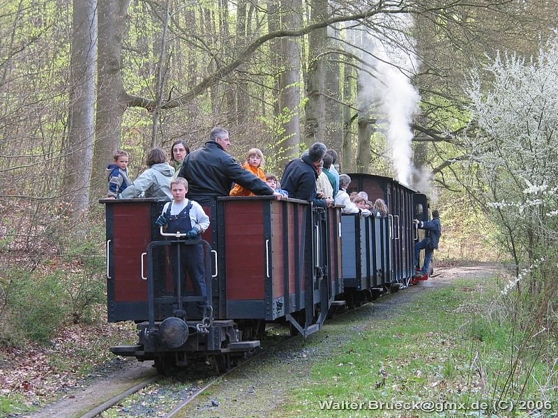 Fahrtag beim Feld- und Grubenbahnmuseum Fortuna am 01.05.2006: Lok 4  MARTHA  mit Museumszug im Lichtungsbereich des Waldstcks (2) - Nachschuss.