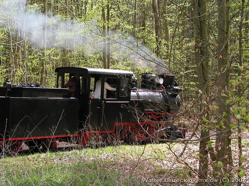 Fahrtag beim Feld- und Grubenbahnmuseum Fortuna am 01.05.2006: Lok 4  MARTHA  hat den Regler geschlossen und f�hrt in das Waldst�ck.