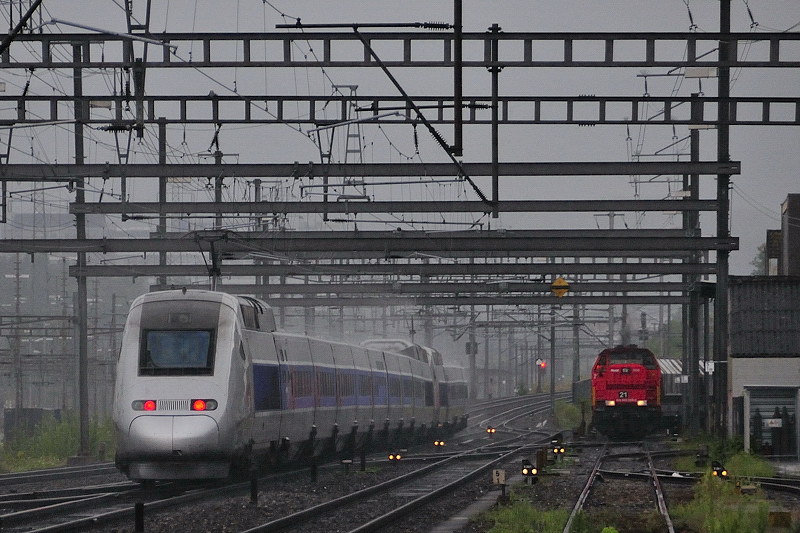 Farblich angepasst an die Umgebung: TGV-Doppel in der Ausfahrt von Muttenz Richtung Zrich. Faszinierend wie die Gischt den Zug umspielt... (10.08.09).