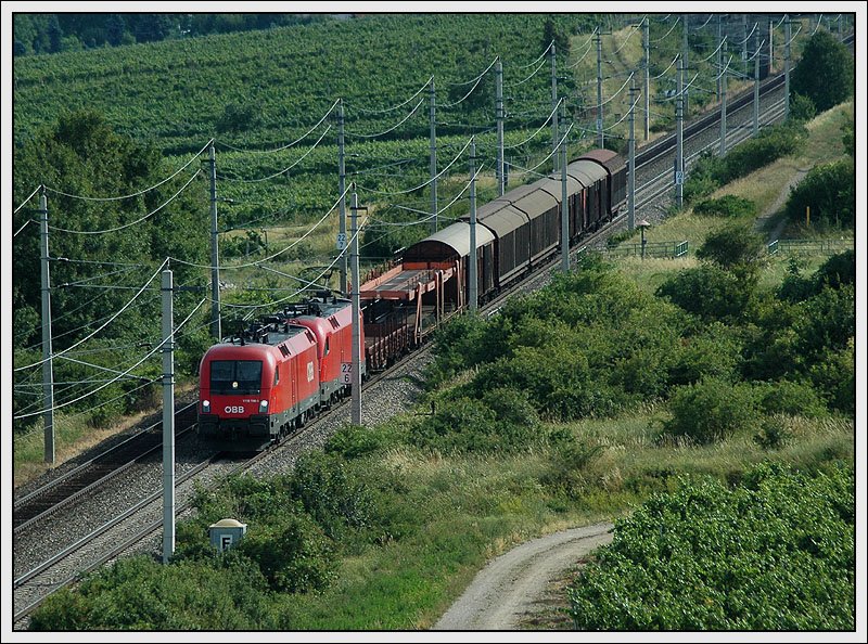 Fast 20.000 PS f�r diesen kurzen G�terzug. 1116 193 an der Spitze dieses G�terzuges am 1.7.2007. Aufgenommen auf der H�he des S�dportals des Busserltunnels zw. Pfaffst�tten und Gumpoldskirchen.