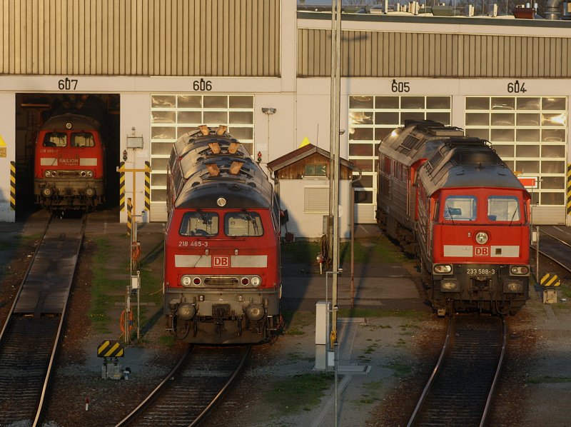 Feierabend am 13.04.2009 in Mhldorf, die 233 588 und eine weitere so wie die 218 465 und drei weitere ihre Familie warten auf ihre nchsten einsetze. 