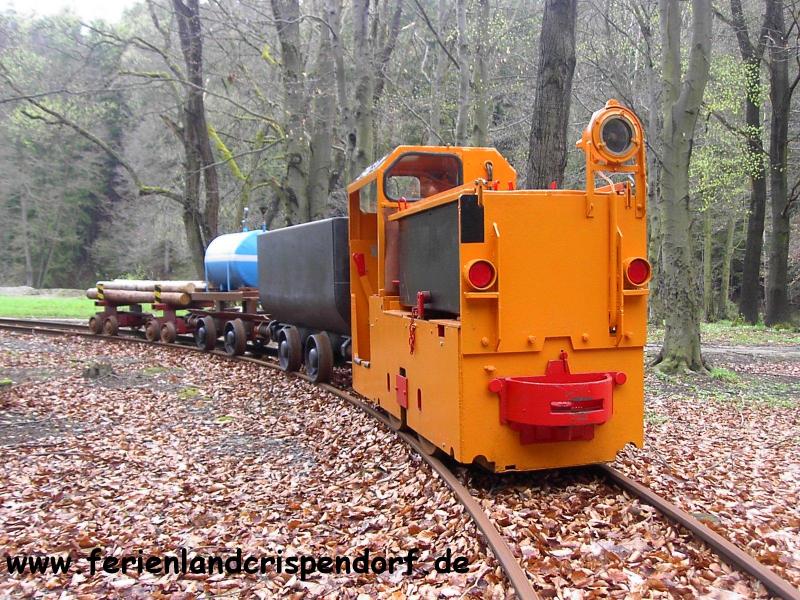 Ferienlandeisenbahn Crispendorf:
Lok EA22-01 (B360 von BBA) mit einem Gterzug im Bbf. Stollen, im Rahmen von Testfahrten zur Erporbung eines aufgearbeiteten Batteriesatzes von 1991. (April 2006)
