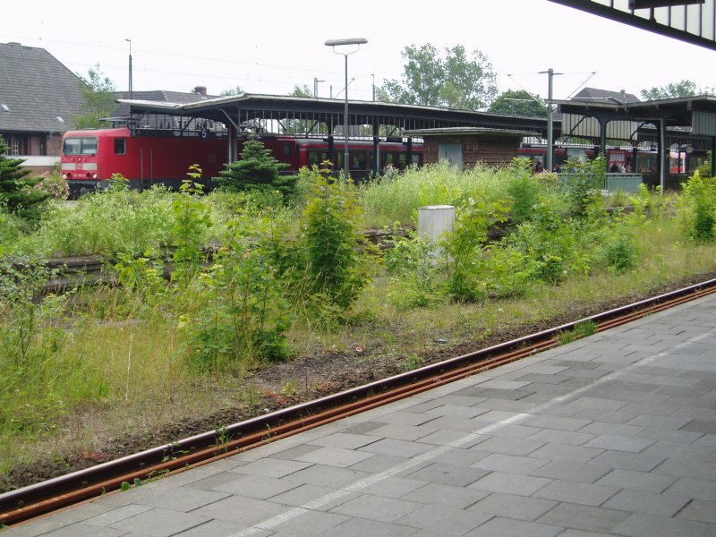 Flensburg Bahnhof im Sommer 2007. Teilansicht von Gleis 2, Bahnsteig 3, hinber zum Bahnsteig 1, Gleis 5 + 6. Mittlerer Bahnsteig ausser Betrieb. Wildwuchs und keinerlei Pflege lsst das Gelnde allmhlich zusammenwachsen, so dass man fast bald nur schemenhaft erkennen kann, dass es sich hier um den ersten Bahnhof auf deutschem Gebiet, nach Ankunft aus Dnemark, handelt. Oder umgekehrt, der letzte DB-Bahnhof, bevor man weiter nach Dnemark fhrt. Ab 09.Dezember 2007 ist dieser ausserdem ein ICE-Bahnhof! Keine weiteren Kommentare meinerseits. 