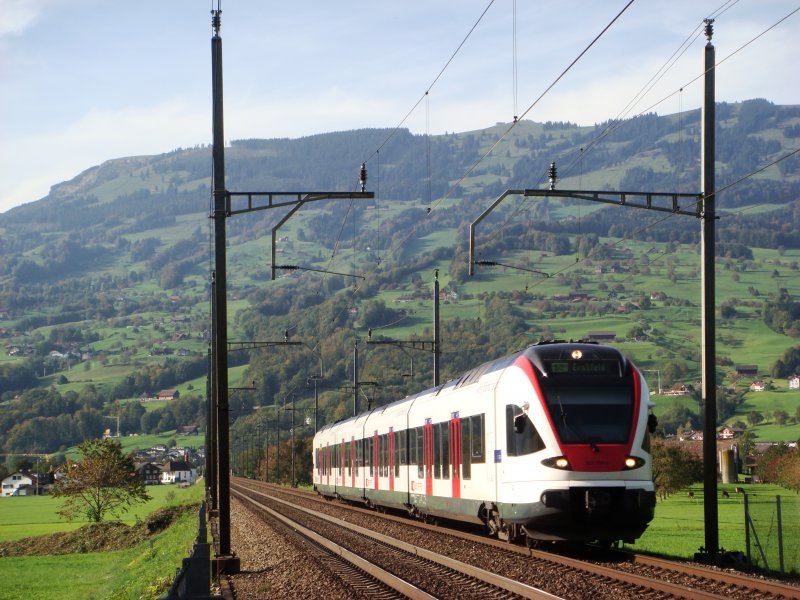  Flirt  zwischen Steinen und Schwyz am 1.10.2007