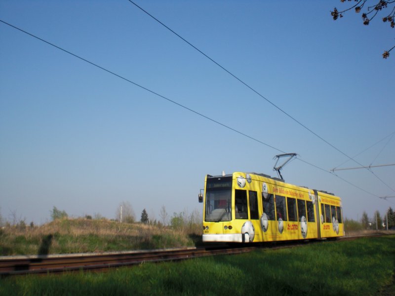 Frei im Felde fhrt die Dessauer Straenbahn zwischen Lindenstrae und Klinikum. NGT 303 fht am 11. April 2009 durch das Niemandsland.