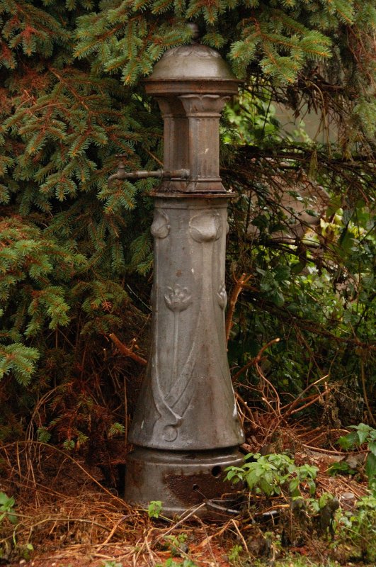 Freigelegt: In Gestr�pp und diversen Nadelgeh�lzen kam dieser aus den 30er-Jahren stammende, gu�eiserne Trinkbrunnen zum Vorschein. Aufgenommen am alten Ger�teschuppen des Neuoffinger Bahnhofs. (Okt.2008).