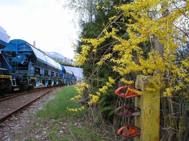 Frhlingserwachen: Salzbarone(Tadnpss) und Hemmschuhe 2005-04-25 in Ebensee