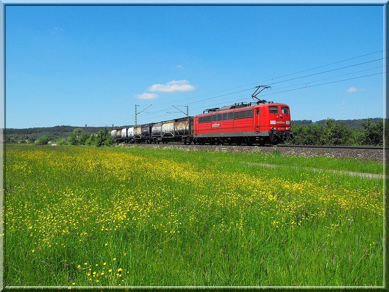 Frhsommerstimmung an einer Wiese mit einer 151 bei Postbauer-Heng.(23.05.2009)