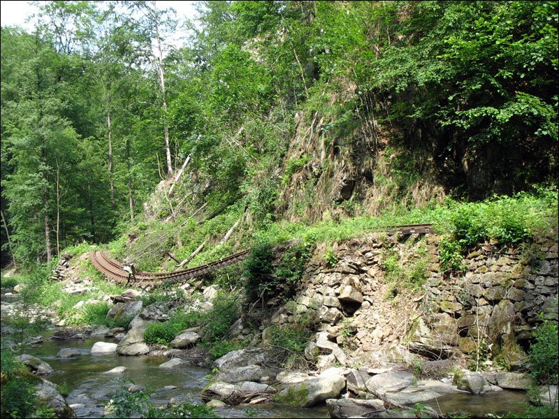Fnf Jahre danach sieht die Strecke der Weieritztalbahn im Rabenauer Grund noch aus (vom Wildwuchs abgesehen) wie kurz nach der Flutkatastrophe (4) - August 2007
