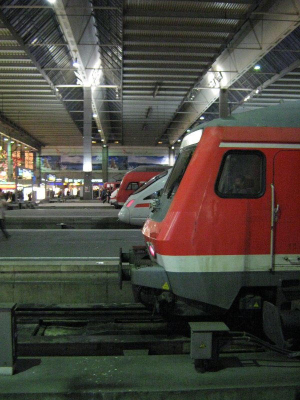 Fnf  Schnauzen  quer durch den Mnchener HBF.