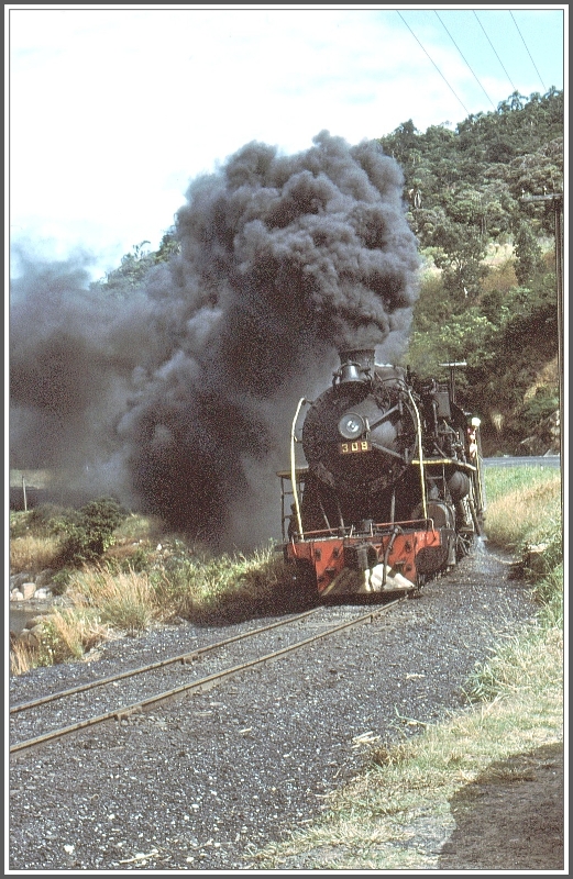 Fr Augen und Ohren ein grandioses Spektakel, wenn Lok 308 mit ihrem langen Kohlezug vorbeidonnert. (Archiv 04/1981)