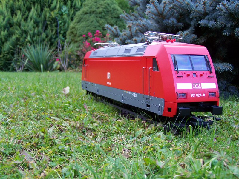 (Fuzztour-Garten/Bild 1) Die 101 024-8 (101er Modell von LGB) durfte sich am 17.Oktober 2007 im Garten auslften.
