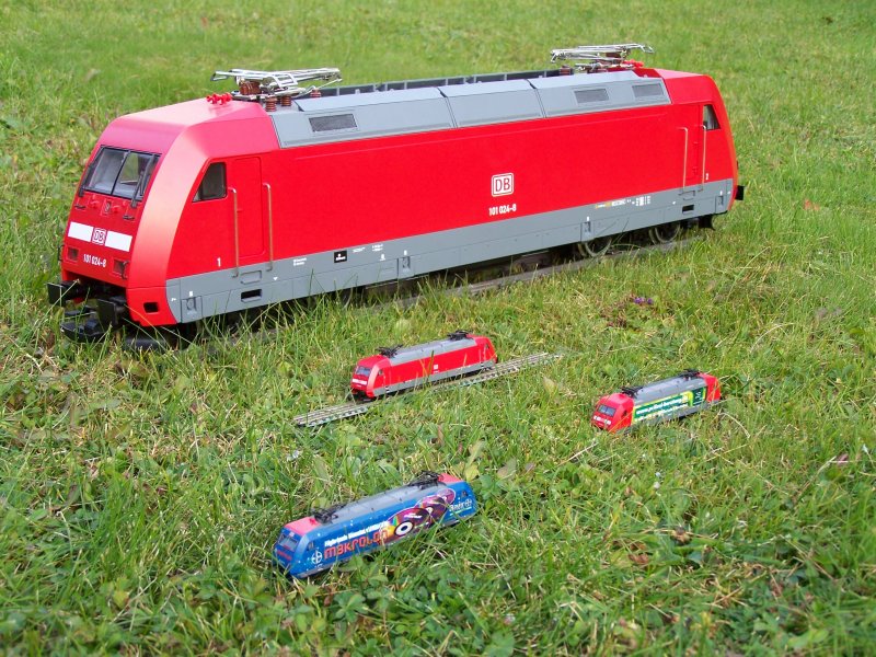 (Fuzztour-Garten/Bild 3) 101er Treff in der Natur. Aufgenommen am 17.Oktober 2007