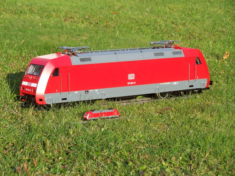 (Fuzztour-Garten/Bild 4) Gro- und Kleintreff der 101er. Aufgenommen am 17.Oktober 2007