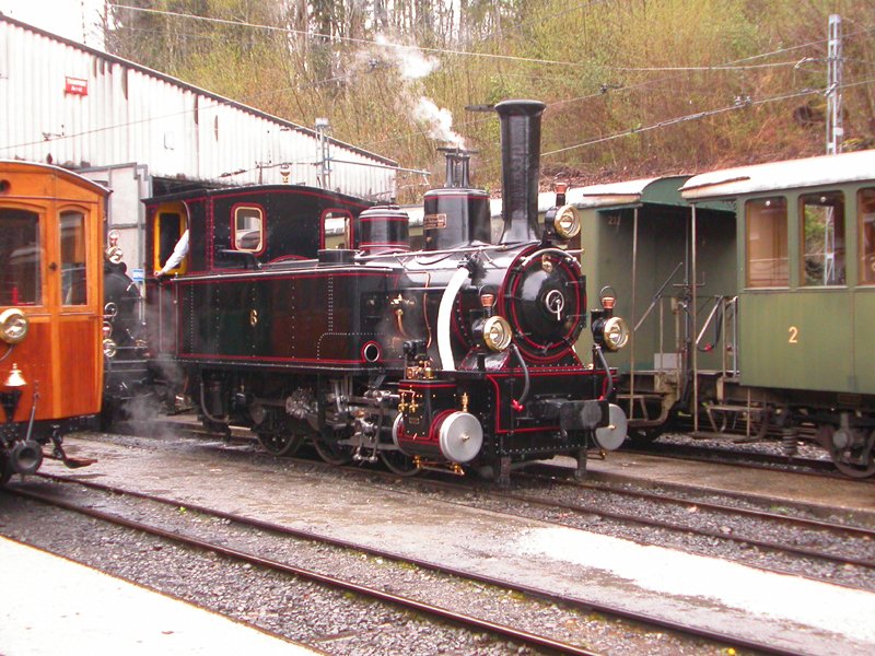 G 3/3 6 ex BAM  Chaulin 30.04.2008