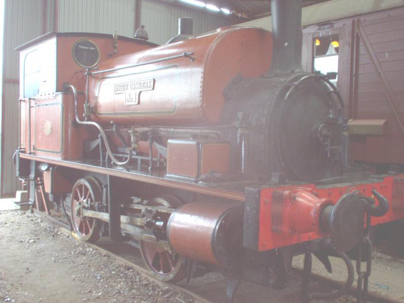 G (stre Gasvrk. Kopenhagen) nr. 1,  Skildpadden  (=  Der Schildkrte ) beim Veterantreff in Grsted am 16. Mai 2005. Gehrt den sammlung der NSJV. Gebaut von Hudswell Clarke, England in 1899 als nr. 498, achsfolge Bt, Stephenson-steuerung.
