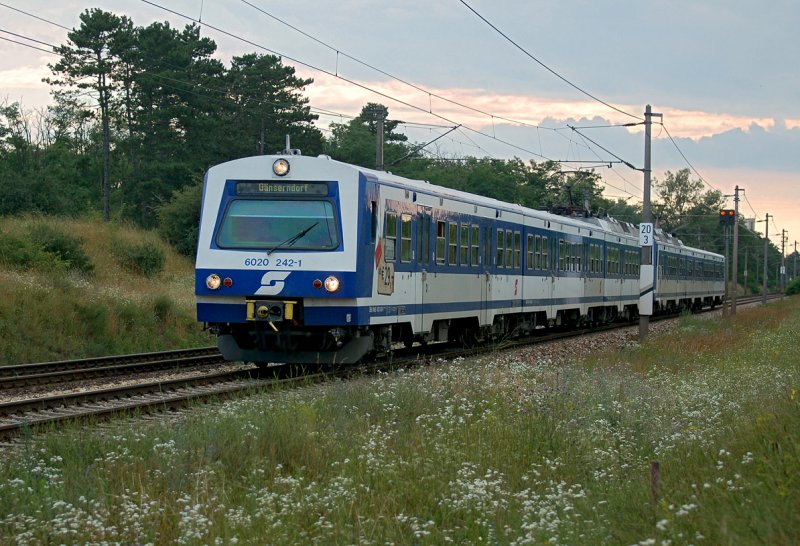 Gnseblmchen und Gnserndorf;-) 6020 242-1 als Schnellbahnzug 23666 nach Gnserndorf kurz vor der Haltestelle Helmahof am 18.07.2008.