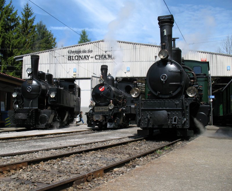 Gste und Einheimische im vertrauten zusammensein:
G 2x 2/2 105, G 3/3 8 Echallens 1910(Gastlok), G 3/4 1 Rhtia 1889 (Gastlok). 
(03.05.2008)