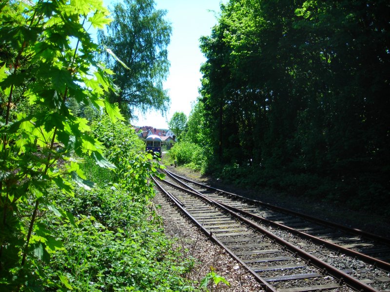 GDT in Obernkirchen am10.5.08