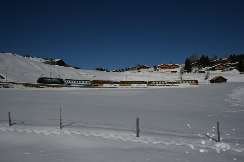 Ge 4/4 8003 mit GoldenPass Panoramic 3126 unterhalb Schnried. Direkt hinter der Lok der unpassende B 216 eingereiht. Aufnahme am 28.2.2009. 