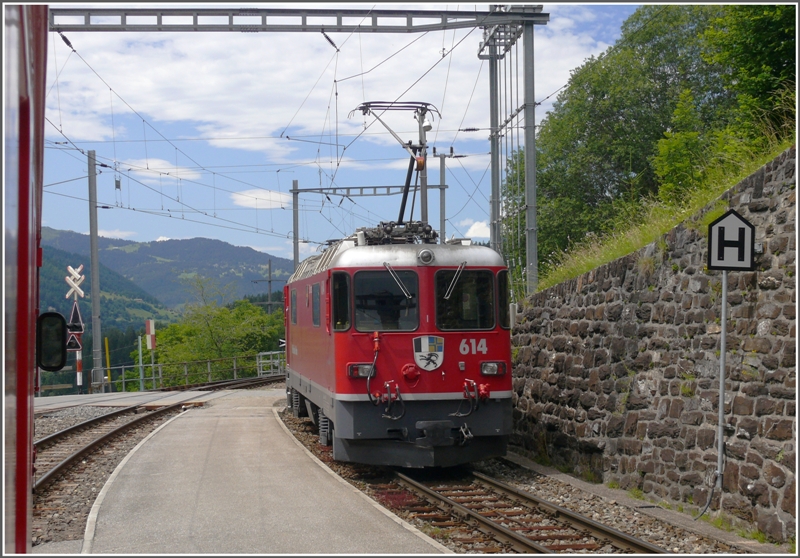 Ge 4/4 II 614  Schiers  macht heute die Holzberfuhr nach St.Peter-Molinis. (21.07.2009)