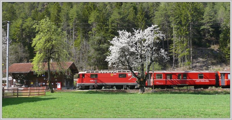 Ge 4/4 II 625  Kblis  vor der einsamen Station Trin in der Rheinschlucht. (17.04.2009)