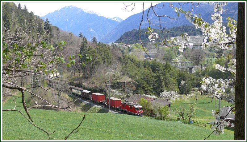 Ge 4/4 II 626  Malans  zieht den  ValserwasserExpress  bei Reichenau-Tamins Richtung Ilanz. (16.04.2009)