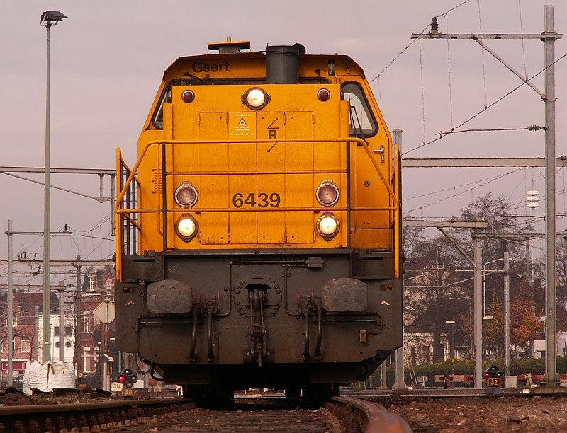  Geert  mal aus der Froschperspektive. Das Foto stammt vom 16.11.2007