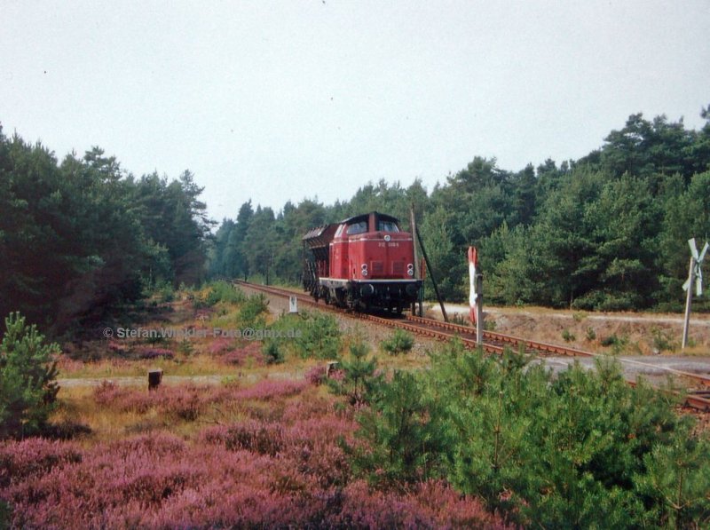 Geniales Streckenportrait auf der kleinen Heidebahn, ehem. Strecke Celle - Schwarmstedt. Die letzte Leistung die ich hier vor dem Gleisabbau fotografieren konnte führt 212009 mit dem Muldenkipper durch den Wald bei Wietze auf der Rückfahrt nach Celle.

Rarität aus meiner Diasammlung, abfotografierter Abzug!

Im Januar 2018 hatte ich eine mail-Nachfrage nach Bildern von der Allertalbahn, die bei mir versehentlich im Spam gelandet ist und pauschal mit allem gelöscht wurde. Bevor die Anzeige verschwand, konnte ich noch das Wort Allertalbahn lesen..... Bitte nochmal anmailen !