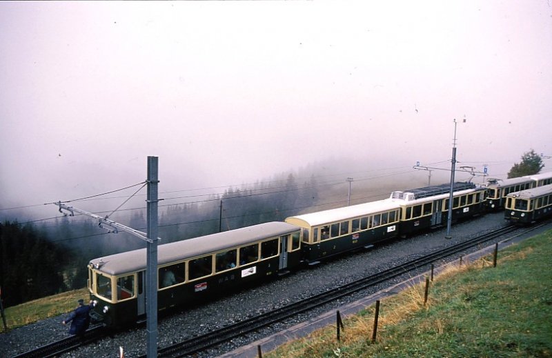 Gerade aus dem Nebel heraus, hlt Zug 119-B35-Bt222 auf der Wengernalp. 25.September 1993.