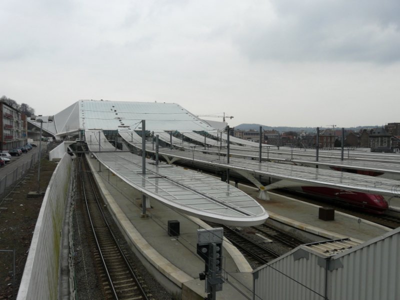 Gesamtbersicht ber das Bahnhofsdach von Lige Guillemins. Bild aufgenommen am 07.03.08.