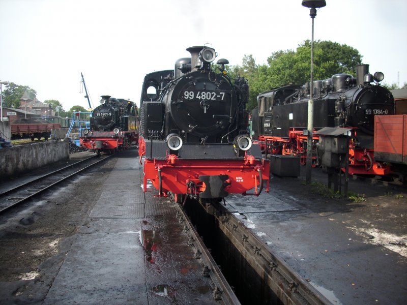 Gleich drei Schmalspurdampfloks am 09.August 2009 in der frei zug�nglichen Einsatzstelle Putbus.Links 99 4801,Mitte 99 4802 und Rechts 99 1784 die an diesen Tag nicht zum Einsatz kam.