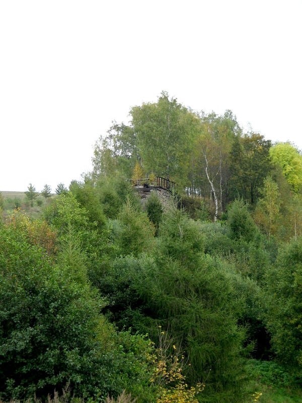 Gleich neben der Umgehungsstrae fr Elterlein findet man die berreste der Schlangenbachtalbrcke. Hier das Widerlager auf der Scheibenberger Seite, 03.10.07
