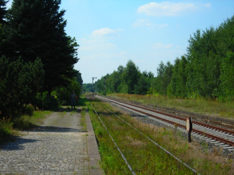 Gleis 1 des bahnhofes Dannenberg Ost im sommer 2007 auch wenn es nicht so aussieht ist das Gleis 1 das Personenzuggleis das neue gleis daneben ist fr den castortransport gedacht