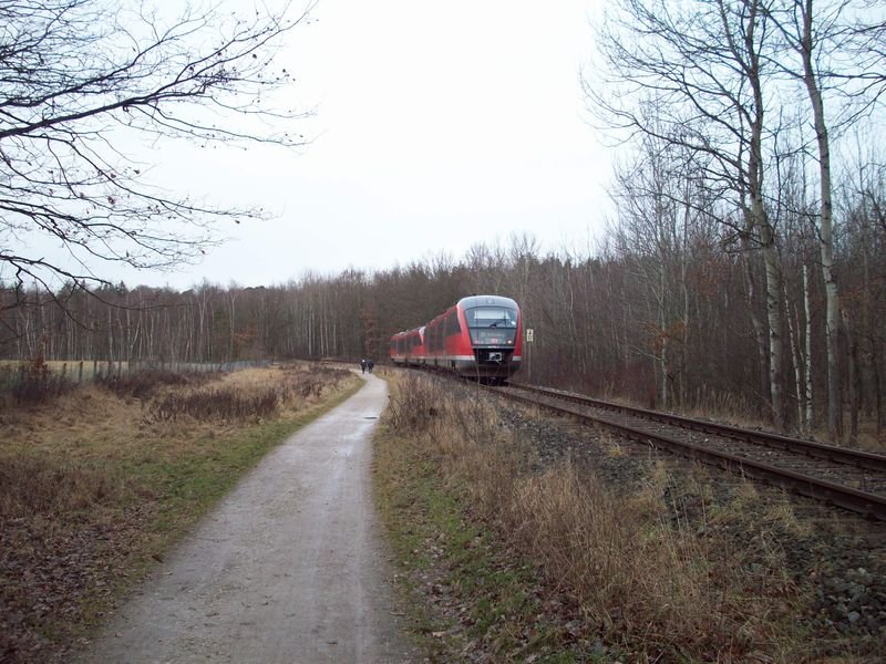 Grfenbergbahn,Nrnberg Ziegelstein.(08.01.2008) 