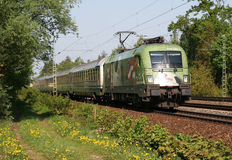 Gras Ox und Lwenzahn: 1116 264 (Euromotion) mit EC 85 am 03.05.2009 in Haar (bei Mnchen).