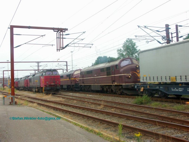 Grenzbahnhof Padborg. Einfahrendes Nohab-doppel trifft auf MZ. Juli 2009
