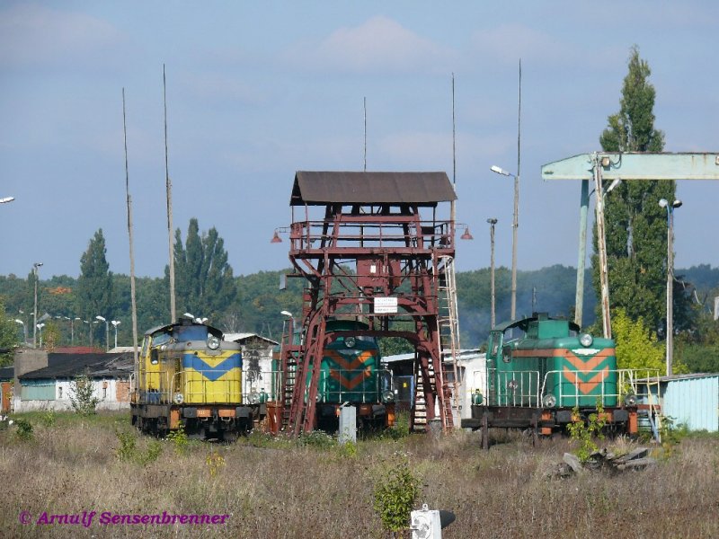 Grnland mit Loks: PKP SU42-532 +SM42-542 +SM42-868 im sehr begrnten Betriebswerk (in dem sich tatschlich auch Gleise verstecken).
27.09.2008  Kostrzyn