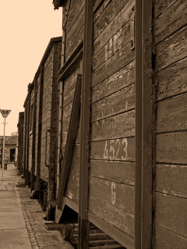 Gterwagen der KB in Meuselwitz, 11.10.09. Die knnten sogar noch von vorm I. WK sein...