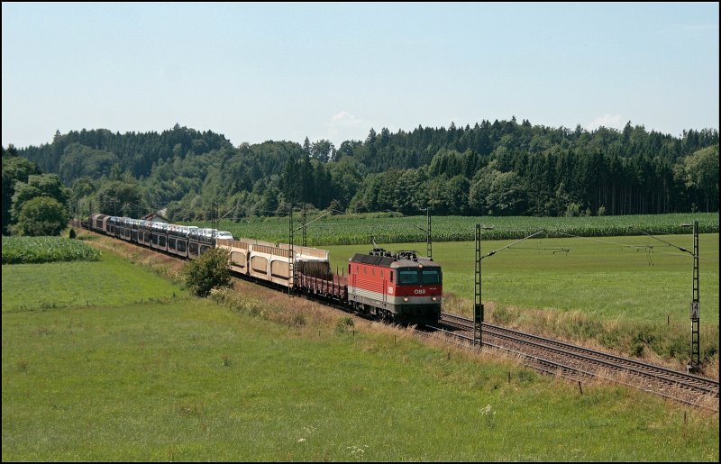 G�terzugm��ig bin ich vom Abschnitt Rosenheim-Salzburg ent�uscht.... Die Bludenzer 1144 229 (9181 1144 229-x) schleppt einen der wenigen G�terz�gen die ich am 11.07.2008 bei Bad Endorf erwischt habe. Hier schleppt die Lok einen gemischten G�terzug mit  17 Waggons vermutlich zum Rangierbahnhof Salzburg-Gnigel. 
